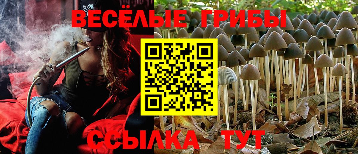 Псилоцибиновые грибы прущие грибы  купить  цена  Ногинск  Вход с VPN 
